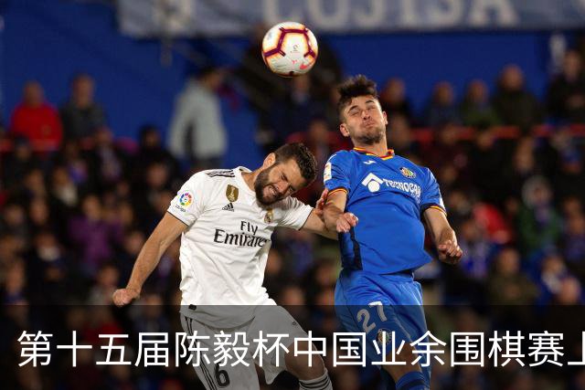 第十五届陈毅杯中国业余围棋赛上海开幕